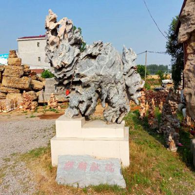 綠地河灘假山石頭自然石抽象動物公園擺件