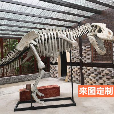 大型全新仿真恐龍骨架骨骼化石玻璃鋼景區博物館恐龍雕塑